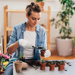 Conjunto de Ferramentas para Jardinagem de Plantas Suculentas Kits Horticulturais para Cultivo Interior e Remoção de Vasos, 5pcs /Conjunto, 8pcs /Conjunto, 13pcs /Conjunto, 15pcs /Conjunto, 16pcs /Conjunto