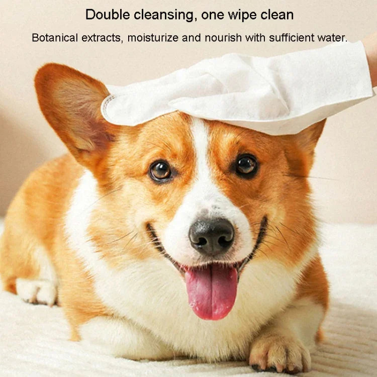Luvas Toalhete KIMHOME para Animais sem Enxaguamento, Banho, Desodorização e Limpeza a Seco para Cães e Gatos, 6pcs /Pacote