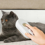 Pente Elétrico Pulverizador para Animais, Escova de Grooming a Vapor Recarregável para Gatos, Cabo Branco, Cabo Castanho