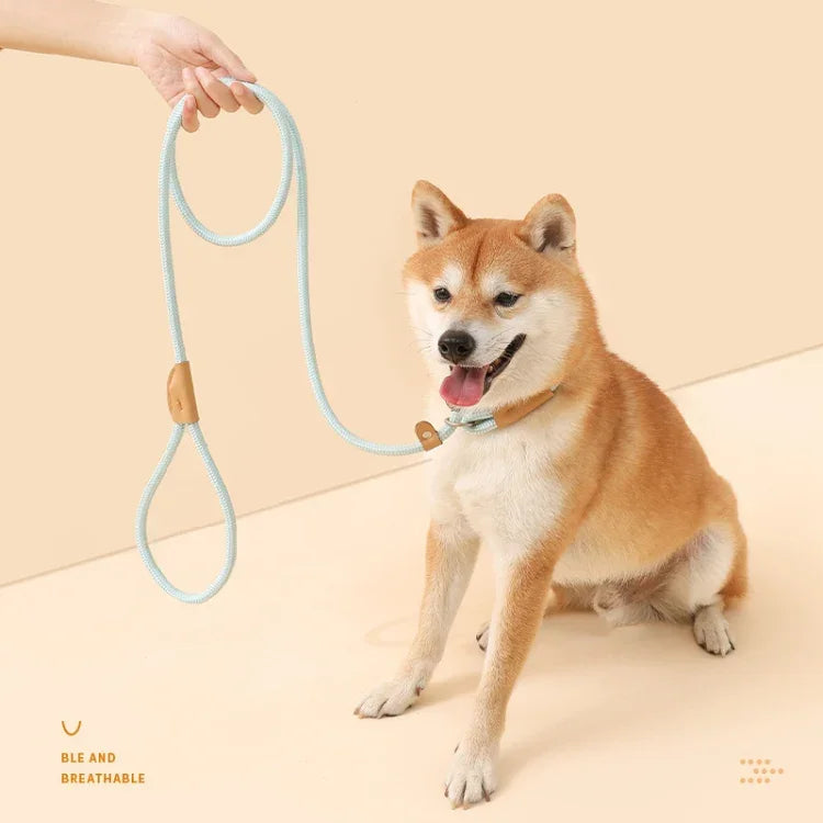 Corda de Tração para Cão Médio e Grande com Fivela de Segurança Universal, Corrente Circular, 1,5m x 0,6cm, 1,5m x 0,8cm, 1,5m x 1cm, 1,8m x 0,6cm, 1,8m x 0,8cm, 1,8m x 1cm