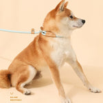 Corda de Tração para Cão Médio e Grande com Fivela de Segurança Universal, Corrente Circular, 1,5m x 0,6cm, 1,5m x 0,8cm, 1,5m x 1cm, 1,8m x 0,6cm, 1,8m x 0,8cm, 1,8m x 1cm