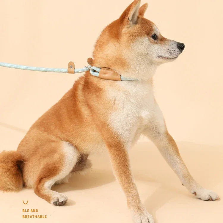 Corda de Tração para Cão Médio e Grande com Fivela de Segurança Universal, Corrente Circular, 1,5m x 0,6cm, 1,5m x 0,8cm, 1,5m x 1cm, 1,8m x 0,6cm, 1,8m x 0,8cm, 1,8m x 1cm