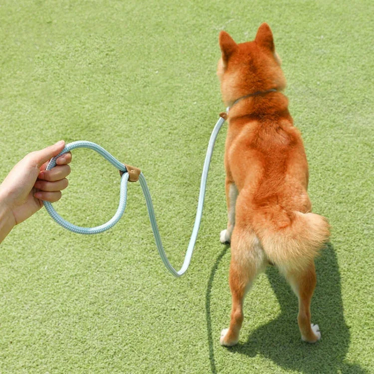 Corda de Tração para Cão Médio e Grande com Fivela de Segurança Universal, Corrente Circular, 1,5m x 0,6cm, 1,5m x 0,8cm, 1,5m x 1cm, 1,8m x 0,6cm, 1,8m x 0,8cm, 1,8m x 1cm