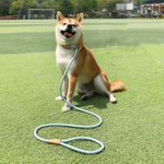 Corda de Tração para Cão Médio e Grande com Fivela de Segurança Universal, Corrente Circular, 1,5m x 0,6cm, 1,5m x 0,8cm, 1,5m x 1cm, 1,8m x 0,6cm, 1,8m x 0,8cm, 1,8m x 1cm