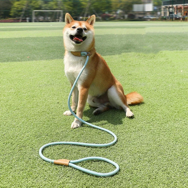 Corda de Tração para Cão Médio e Grande com Fivela de Segurança Universal, Corrente Circular, 1,5m x 0,6cm, 1,5m x 0,8cm, 1,5m x 1cm, 1,8m x 0,6cm, 1,8m x 0,8cm, 1,8m x 1cm