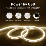 LIXINCORDA Tira de Luz LED Neon Flexível de Silicone 2m 5V USB com Controlo Tátil, USB Controlo Tátil (Rosa), USB Controlo Tátil (Branco Quente), USB Controlo Tátil (Azul)
