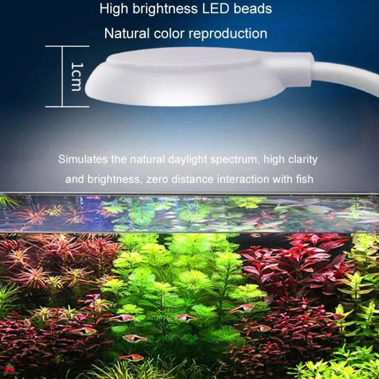 Luz LED de 5W para Aquário com Clipe USB para Plantas Aquáticas Translúcidas