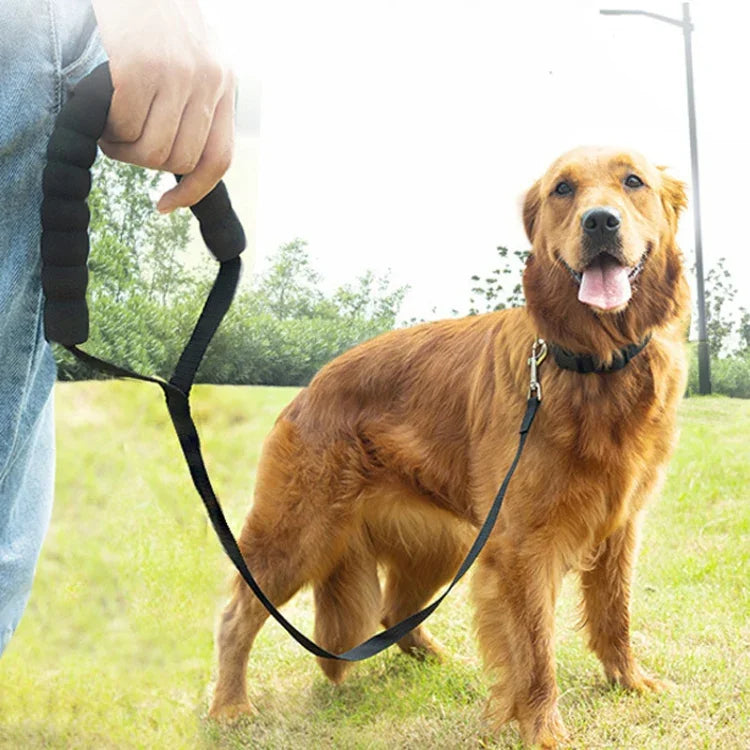 Trela para Cão com Colar de Rastreamento, Trela de Treino Alongada, 2,5cm x 3m, 2,5cm x 5m, 2,5cm x 10m, 2,5cm x 15m, 2,5cm x 20m, 2,5cm x 30m