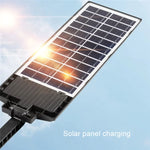 Luz Solar de Jardim LED de Dupla Fileira com Indução, Lâmpadas de Rua, E-SMARTER W789A-6, E-SMARTER W789B-6