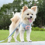 Trela com Colete para Cachorro, Peitoral Teddy, Correia para Passeio, S, M, L, XL