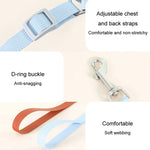 Trela com Colete para Cachorro, Peitoral Teddy, Correia para Passeio, S, M, L, XL