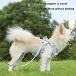 Trela com Colete para Cachorro, Peitoral Teddy, Correia para Passeio, S, M, L, XL