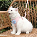 Trela com Colete para Cachorro, Peitoral Teddy, Correia para Passeio, S, M, L, XL