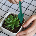 Grande Removedor de Mudas para Jardinagem Plantador em Vaso e Semeador para Viveiro, 2pcs / Conjunto