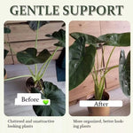 Suporte para Fixação de Raízes de Plantas Ferramentas de Cuidados de Jardinagem, BJ138-001, BJ138-002