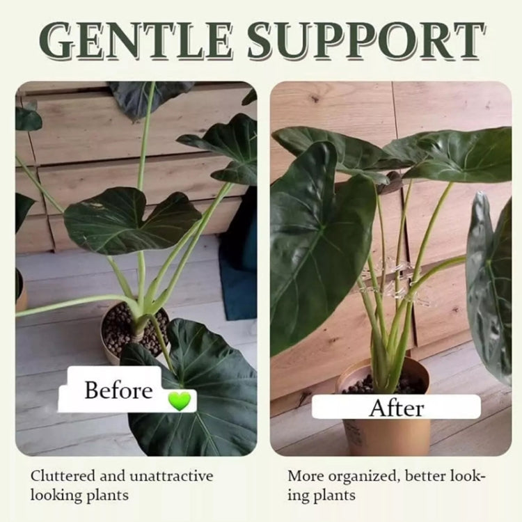 Suporte para Fixação de Raízes de Plantas Ferramentas de Cuidados de Jardinagem, BJ138-001, BJ138-002