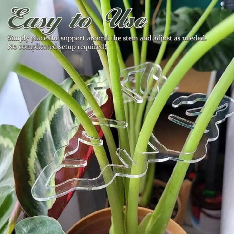 Suporte para Fixação de Raízes de Plantas Ferramentas de Cuidados de Jardinagem, BJ138-001, BJ138-002
