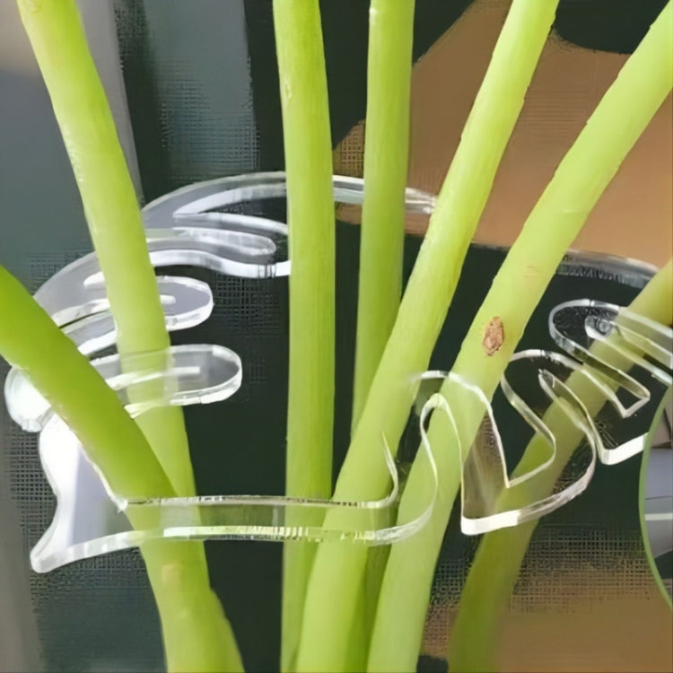 Suporte para Fixação de Raízes de Plantas Ferramentas de Cuidados de Jardinagem, BJ138-001, BJ138-002