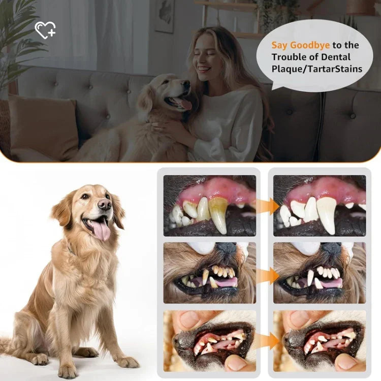 Limpador Ultrassónico de Dentes para Animais de Estimação Ferramenta Eléctrica de Limpeza Dentária para Cães Removedor de Tártaro Doméstico