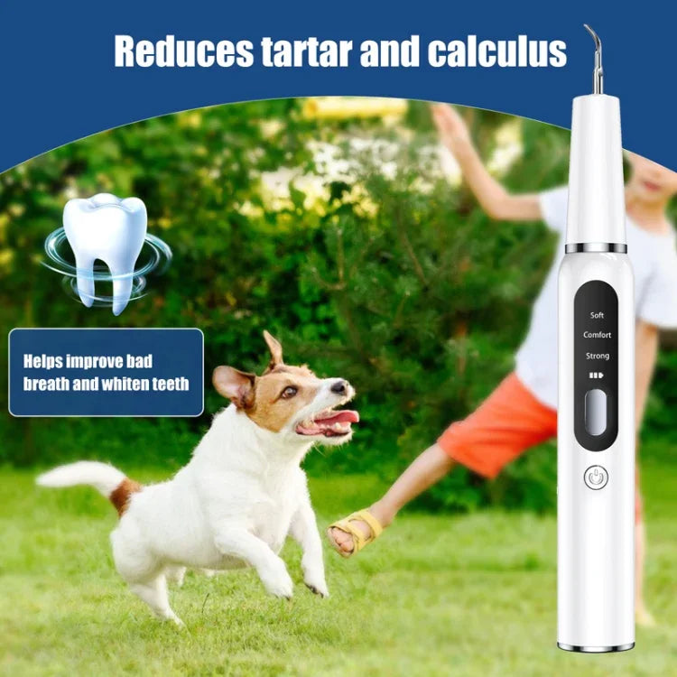 Limpador Ultrassónico de Dentes para Animais de Estimação Ferramenta Eléctrica de Limpeza Dentária para Cães Removedor de Tártaro Doméstico