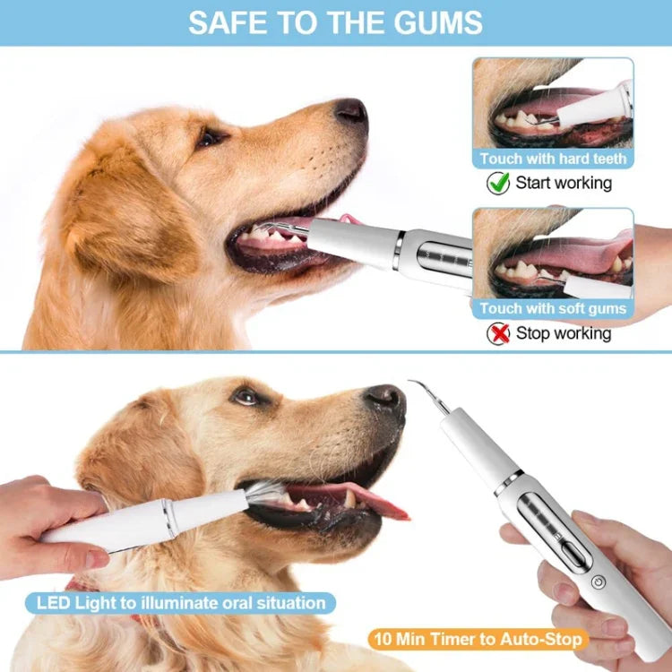 Limpador Ultrassónico de Dentes para Animais de Estimação Ferramenta Eléctrica de Limpeza Dentária para Cães Removedor de Tártaro Doméstico