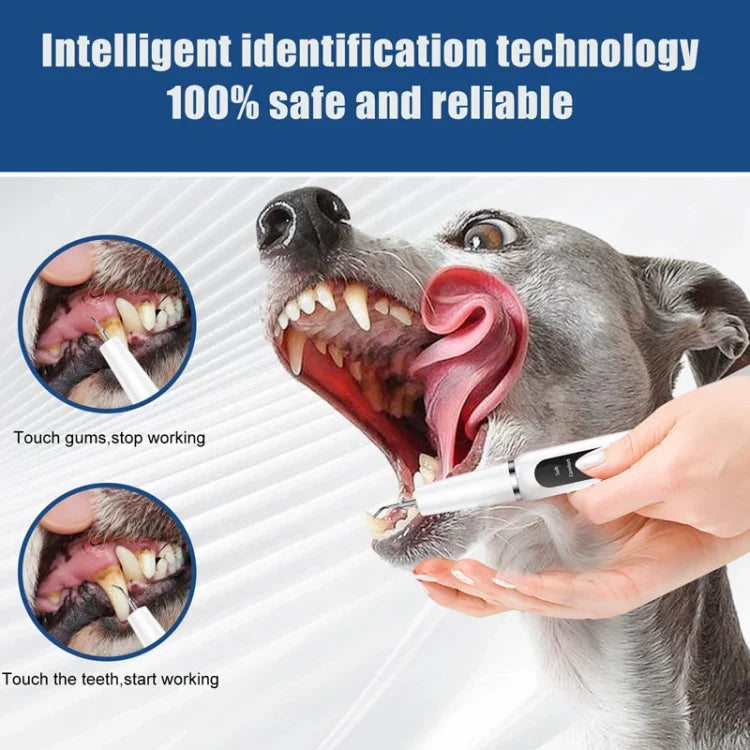 Limpador Ultrassónico de Dentes para Animais de Estimação Ferramenta Eléctrica de Limpeza Dentária para Cães Removedor de Tártaro Doméstico