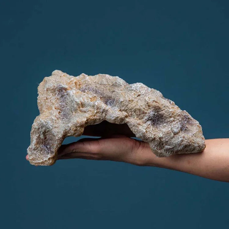 Texto alternativo da imagem