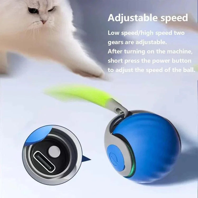 Brinquedos Interativos para Gato Bola Auto Rolante Inteligente USB Recarregável Bola para Gato Ajuste de Duas Velocidades, TUTU Laranja, TUTU Azul