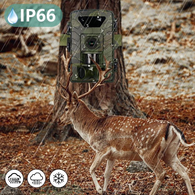 Câmara de Caça Wifi Ultra-nítida 8K Vídeo 60MP, PR803W