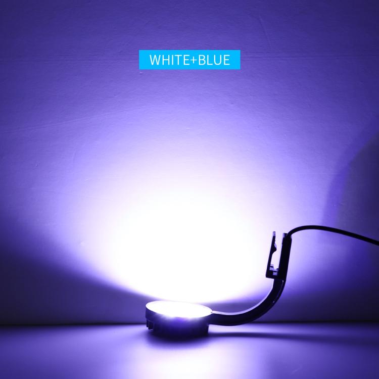 Luz LED de clipe para aquário azul branco 5W com 12 LEDs, luz mini para aquário USB para plantas aquáticas, erva aquática e tanques pequenos, 220V, 110V