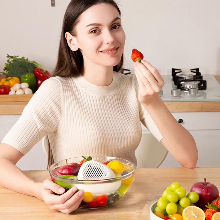 Máquina Portátil de Esterilização e Limpeza de Resíduos de Pesticidas em Frutas e Legumes, Inglês
