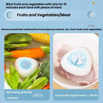 Máquina Portátil de Esterilização e Limpeza de Resíduos de Pesticidas em Frutas e Legumes, Inglês
