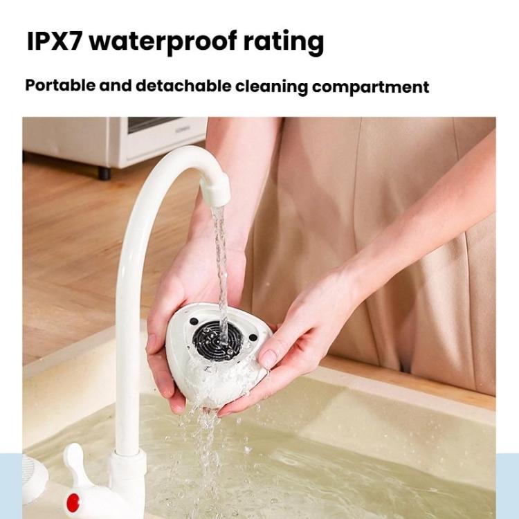 Máquina Portátil de Esterilização e Limpeza de Resíduos de Pesticidas em Frutas e Legumes, Inglês