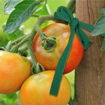 Corda de Tecido para Jardim 30m, Amarras de Suporte para Plantas