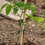 Corda de Tecido para Jardim 30m, Amarras de Suporte para Plantas