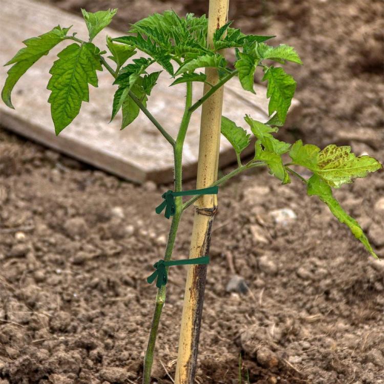 Corda de Tecido para Jardim 30m, Amarras de Suporte para Plantas