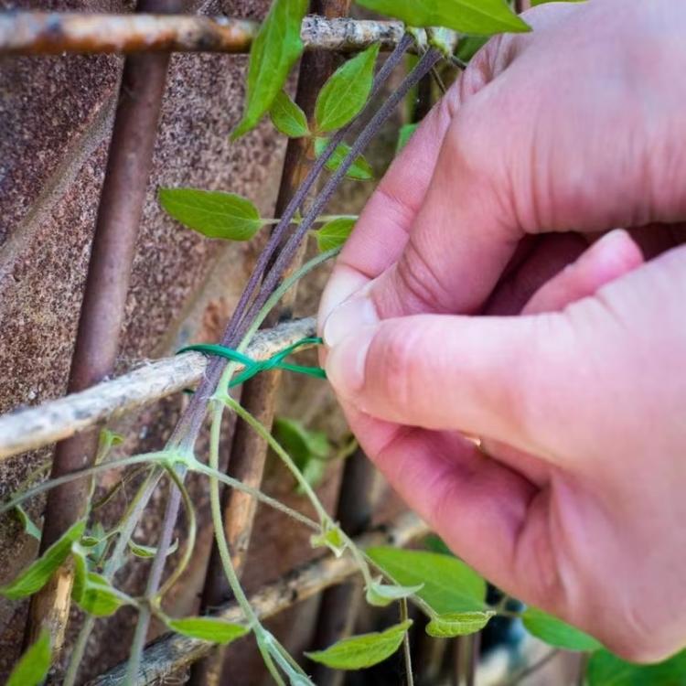 Corda de Tecido para Jardim 30m, Amarras de Suporte para Plantas
