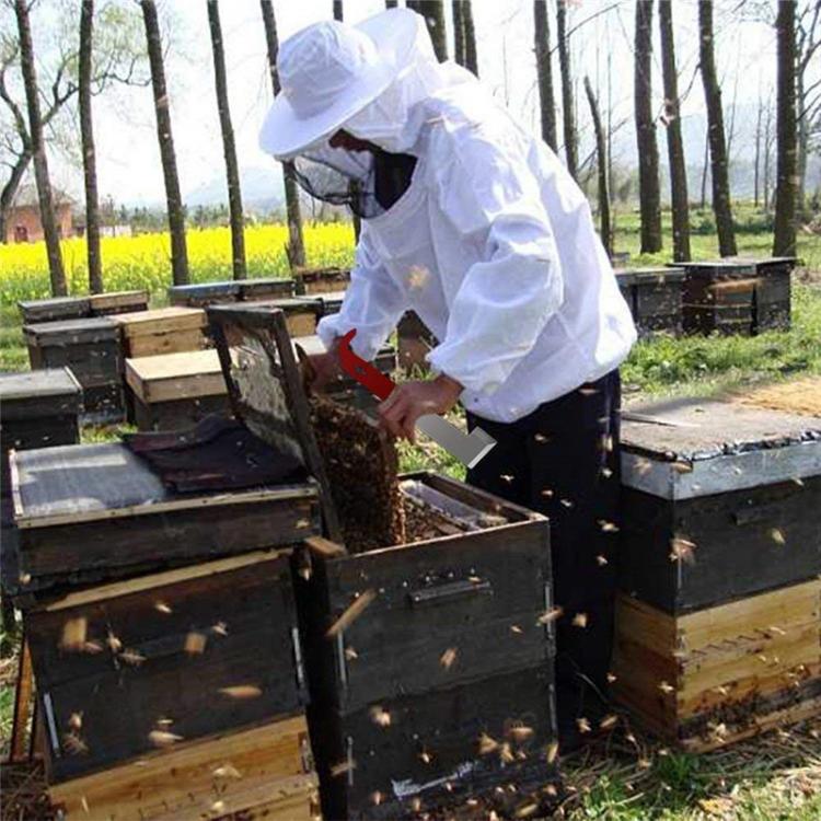 Raspador Curvo para Colmeia em Aço Inoxidável, Ferramentas de Apicultura