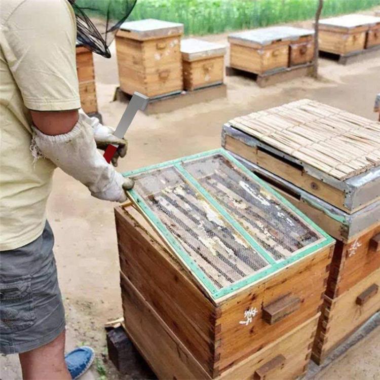 Raspador Curvo para Colmeia em Aço Inoxidável, Ferramentas de Apicultura