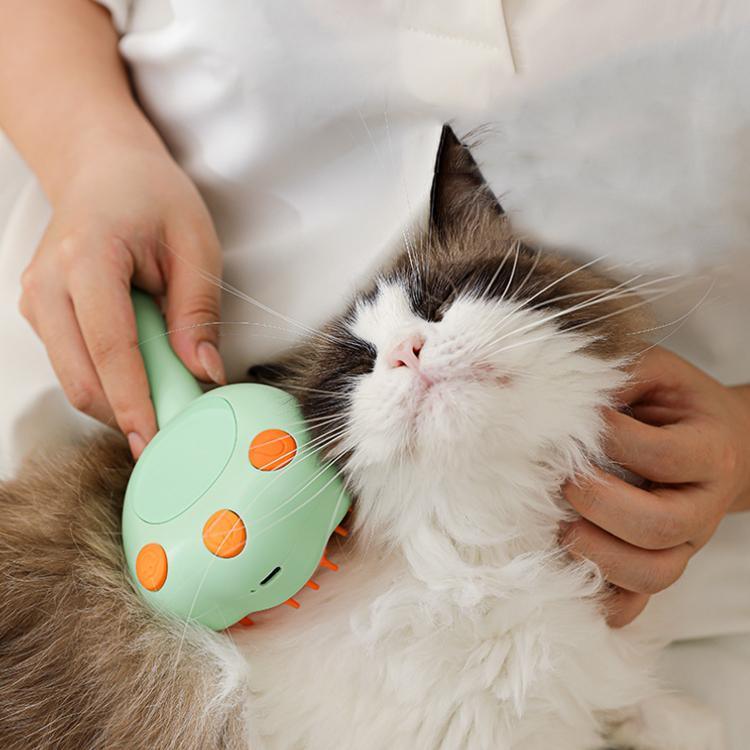 Spray de Limpeza para Animais de Estimação Pente de Massagem