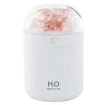 Humidificador de Flores WT18 USB para Secretária, Escritório e Quarto, Atomizador Hidratante