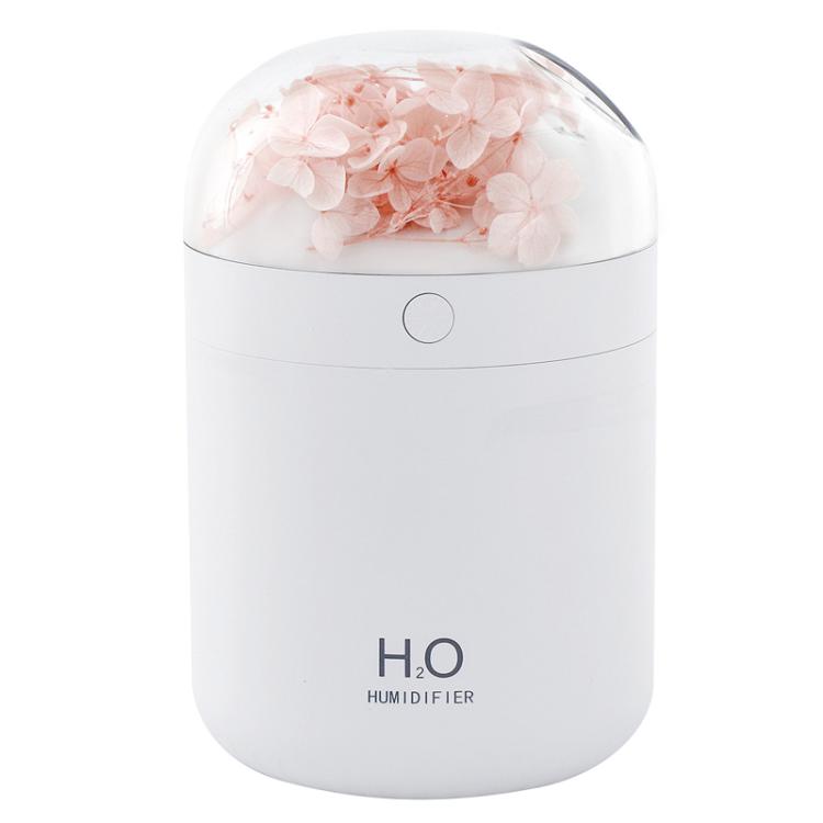 Humidificador de Flores WT18 USB para Secretária, Escritório e Quarto, Atomizador Hidratante