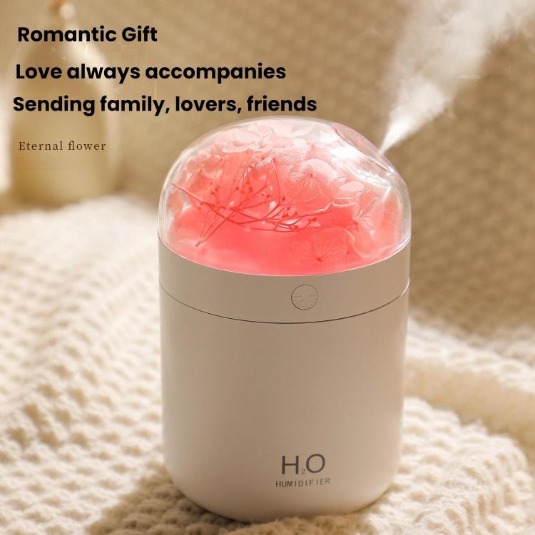 Humidificador de Flores WT18 USB para Secretária, Escritório e Quarto, Atomizador Hidratante