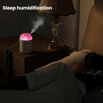 Humidificador de Flores WT18 USB para Secretária, Escritório e Quarto, Atomizador Hidratante