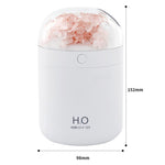 Humidificador de Flores WT18 USB para Secretária, Escritório e Quarto, Atomizador Hidratante