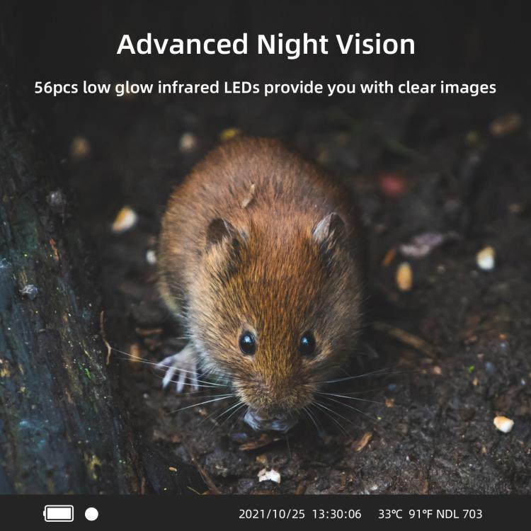 Texto alternativo da imagem