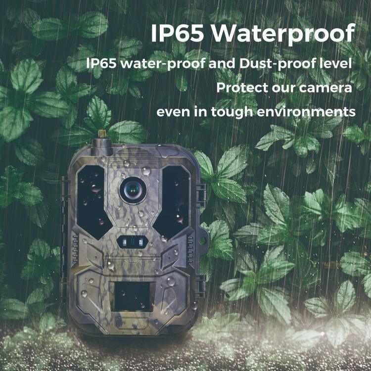 Texto alternativo da imagem