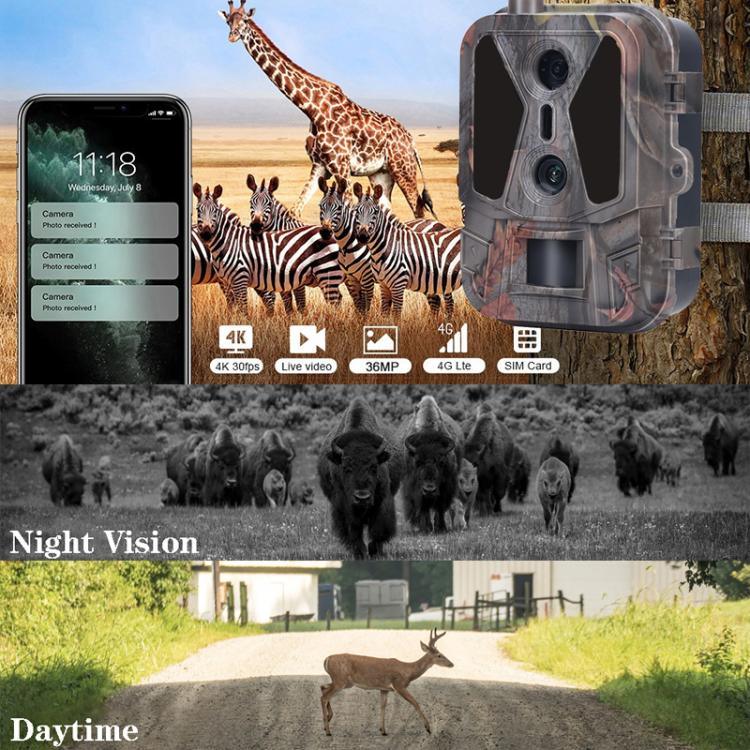 Texto alternativo da imagem