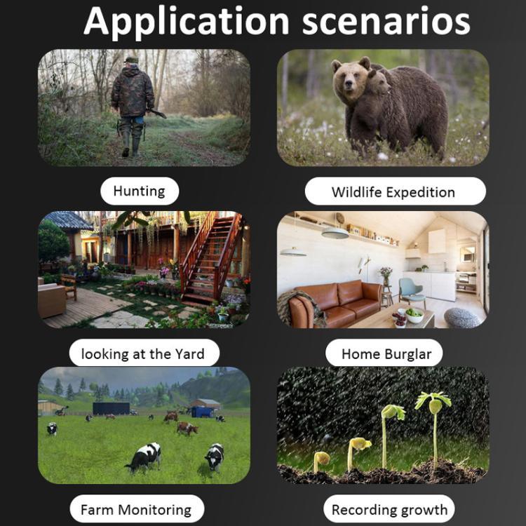 Texto alternativo da imagem