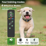 Dispositivo de Treino para Cães com Coleira de Choque e Ecrã a Cores com Controlo Remoto